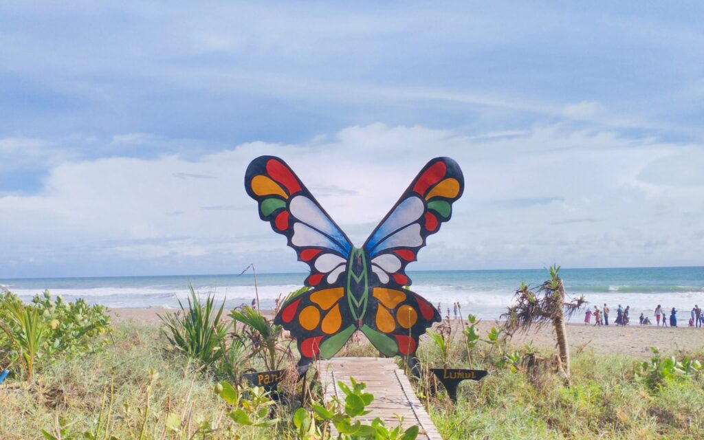 Spot sayap kupu-kupu di Pantai Lumut.