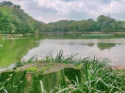 Danau di tengah taman Kambang Iwak Besak