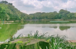 Danau di tengah taman Kambang Iwak Besak