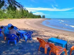 Suasana teduh di bawah pohon cemara tepi Pantai Cermin Pariaman