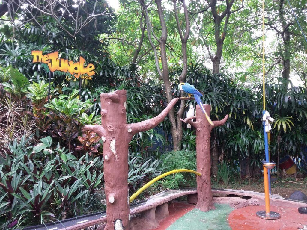seekor burung berwarna biru sedang bertengger pada batang pohon di wahana bird park.