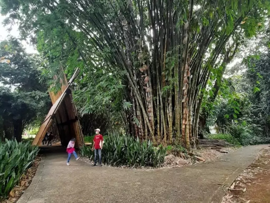 wahana taman bambu Kebun Raya Bogor