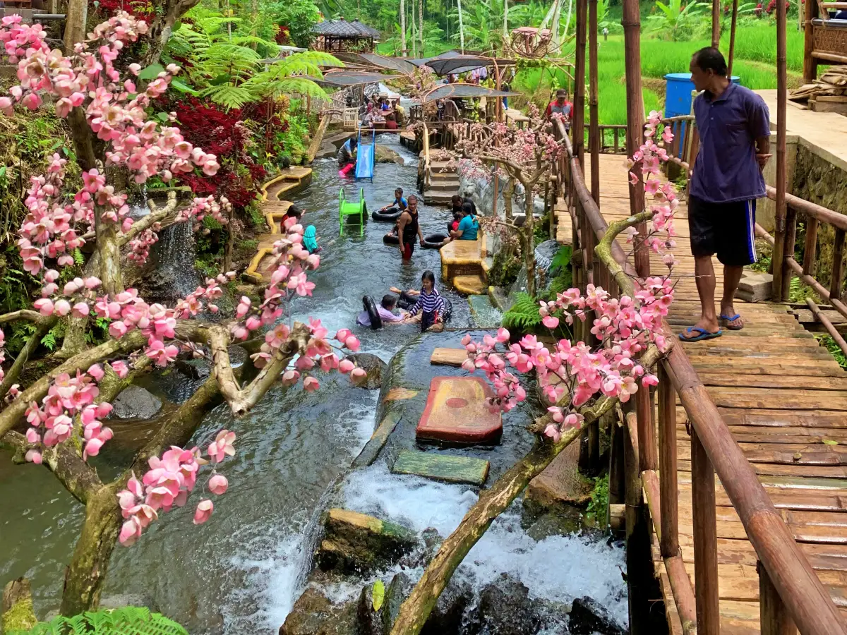 Aliran Sungai dengan hiasan pohon sakura di Wisata Umbalan Tanaka Malang