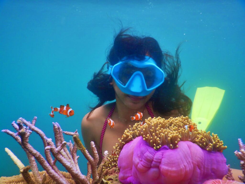 Snorkling diantara terumbu karang penuh warna di Pulau Menjangan Besar dan kecil