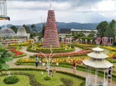 Spot flower tower Taman Bunga Celosia.