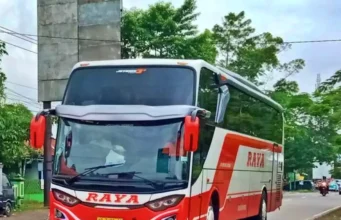 Bus Raya Kelas Eksekutif