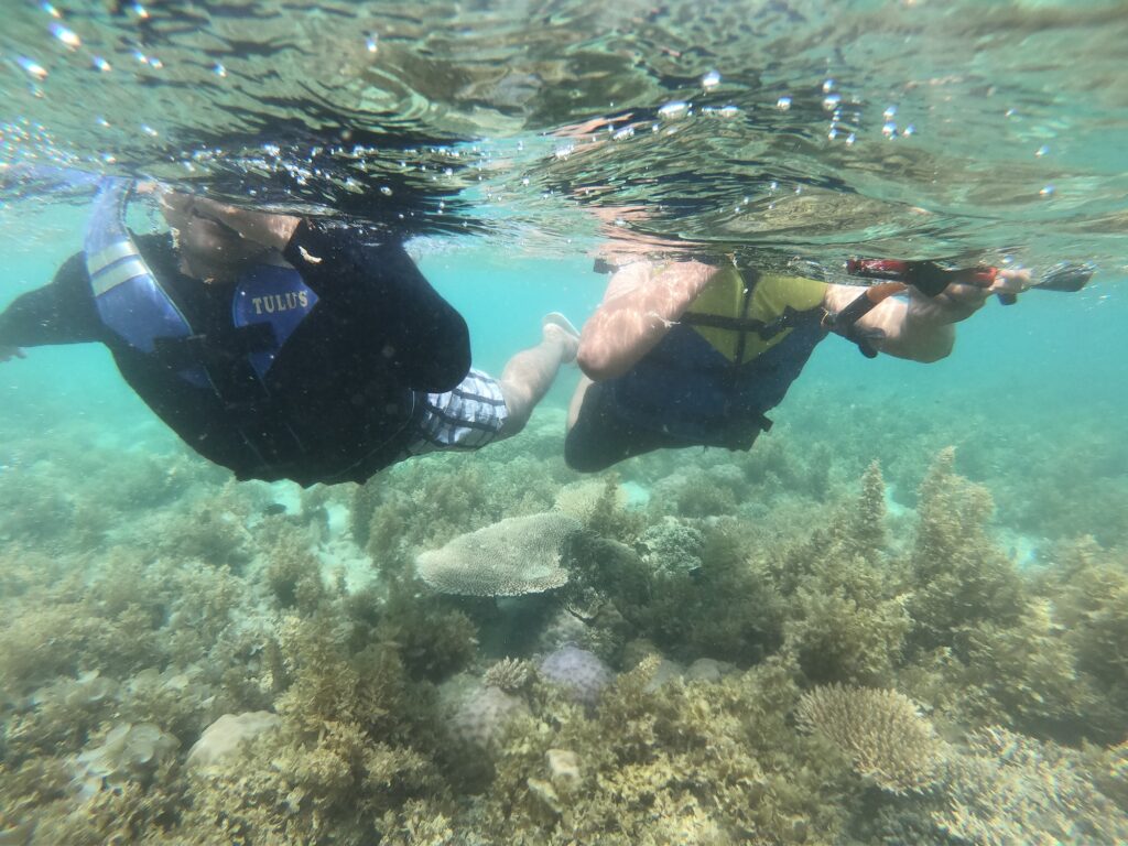 Snorkeling Seru di Perairan Pulau Lengkuas