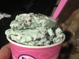 mint chocolate chip