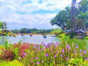 Ramai Wisatawan bermain perahu bebek di danau Wisata Mahoni Dempok