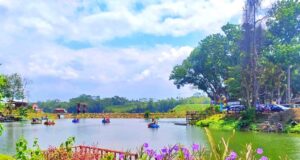 Ramai Wisatawan bermain perahu bebek di danau Wisata Mahoni Dempok