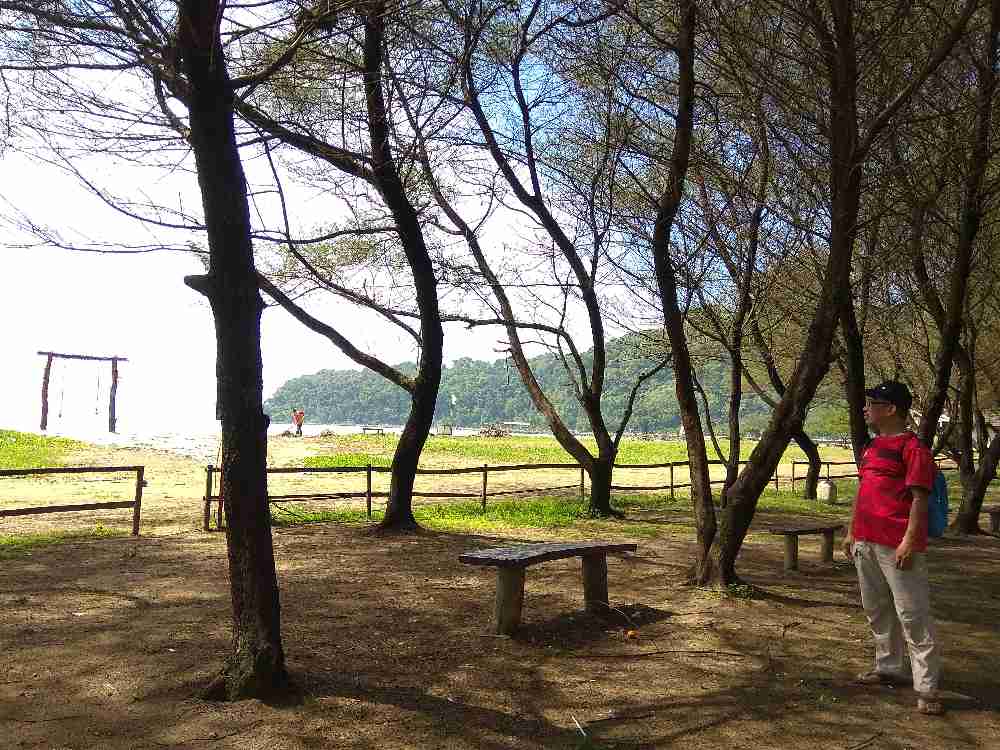 Area Pantai Teleng Ria yang bagus untuk piknik