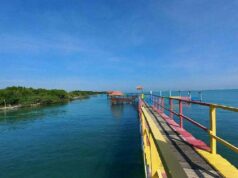 Jembatan Warna Warni di hutan Bakau Pantai Kutang Lamongan