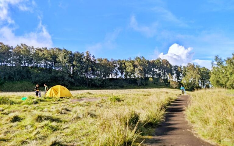 Pendakian Gunung Butak Via Panderman berkemah di Sabana
