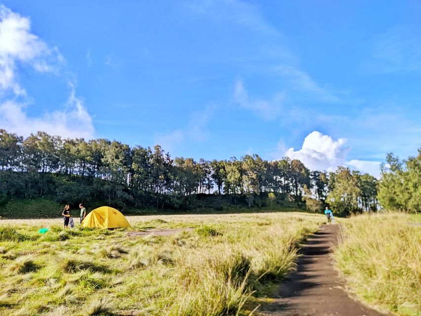 Pendakian Gunung Butak Via Panderman berkemah di Sabana