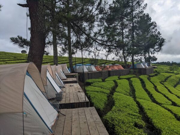 RIUNG GUNUNG Tiket Masuk dan Penginapan Jun 2026