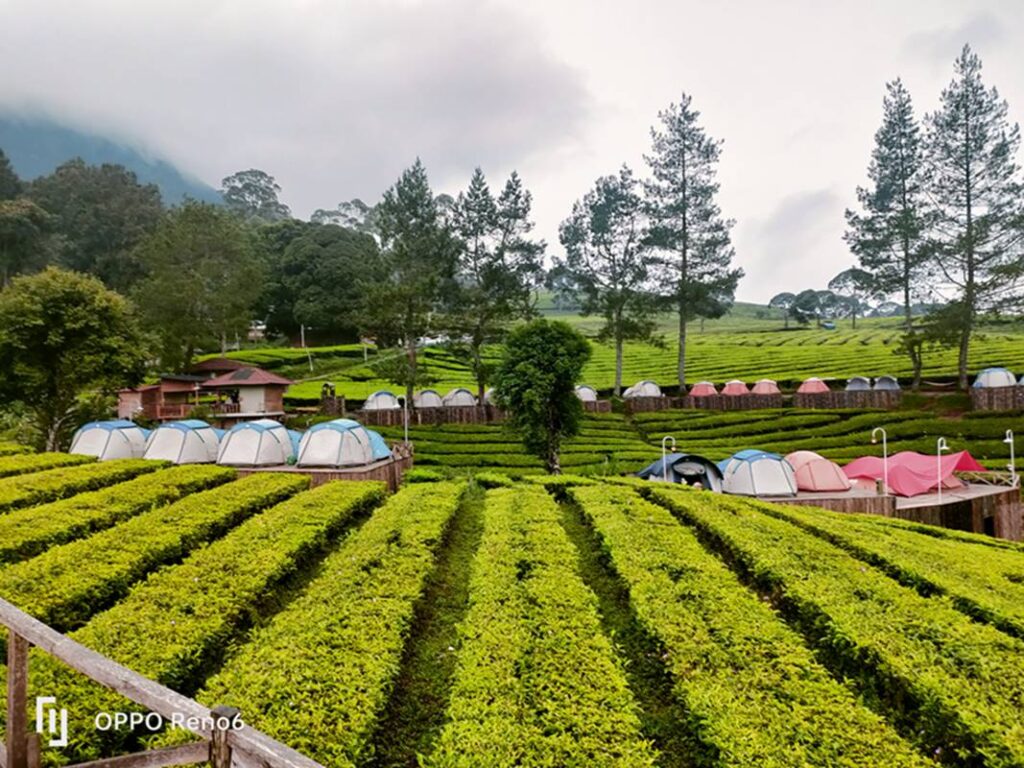 Penginapan Nuansa Riung Gunung Pangalengan berupa tenda glamping dan villa.