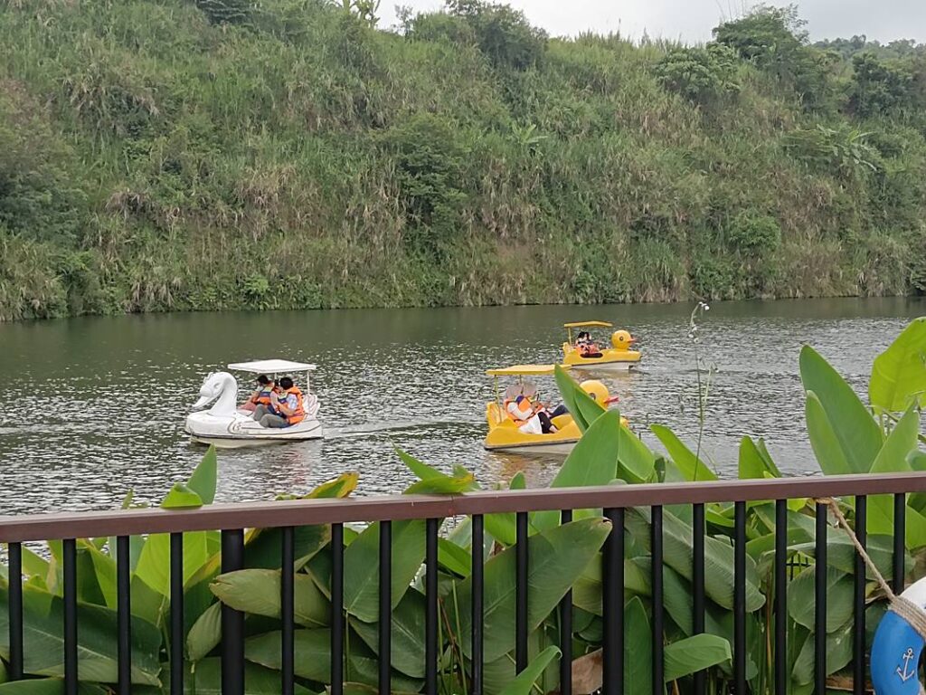 Perahu Bebek untuk Berkeliling Danau