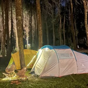 Camping di tengah hutan pinus di Tangkal Pinus
