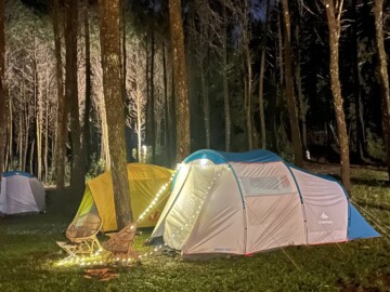 Camping di tengah hutan pinus di Tangkal Pinus