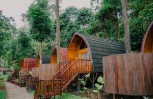 Tipe Penginapan Rumah Kayu dan glamping di The Soemo Hills Pacet