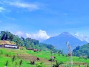 Sumber Gempong wisata wisata di tengah sawah berlatar gunung di Trawas