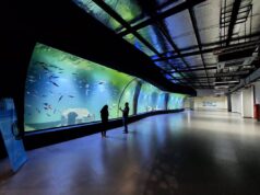 Akuarium Cekung di Aquarium Indonesia Pangandaran