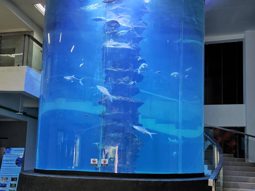 Aquarium Silinder
