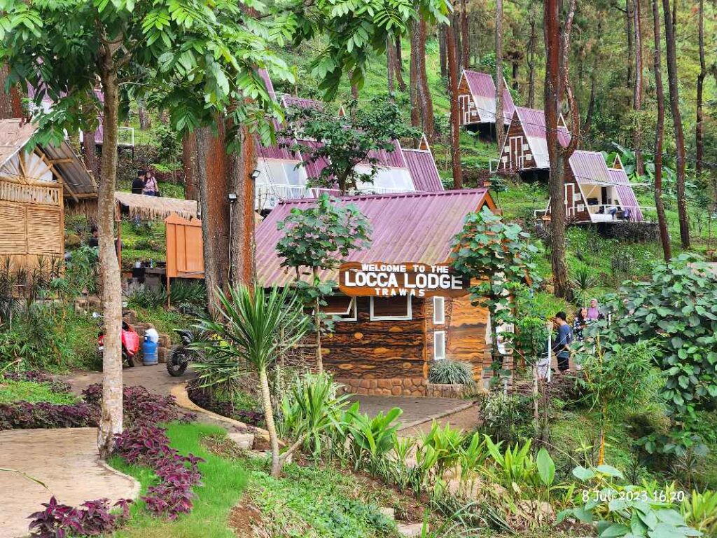 Locca Lodge Trawas, penginapan dengan view hutan pinus