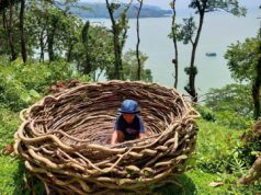 Spot foto berbentuk sarang burung di Mentari Hill