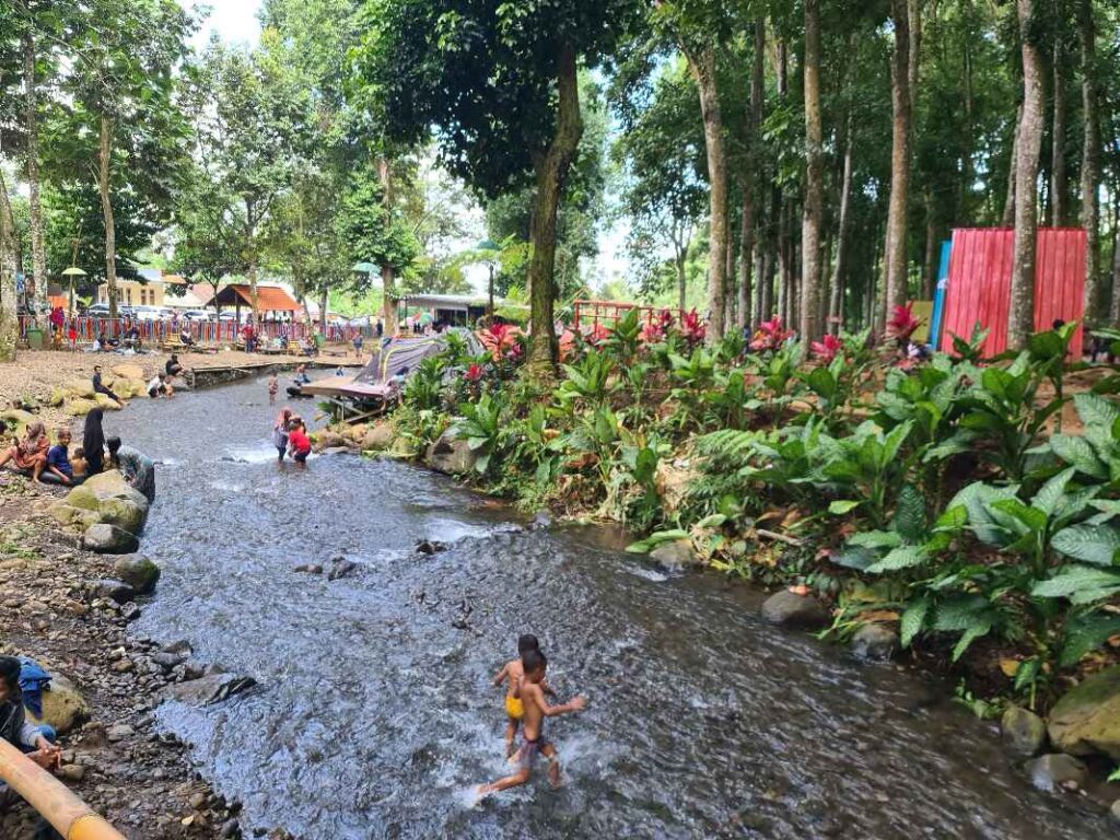 Sungai yang jernih di Wisata Kampung Durian Panti 