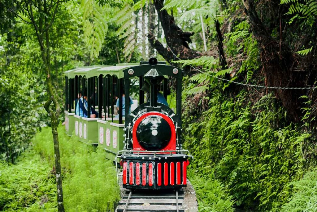 Wahana forest train yang menjadi favorit bagi pengunjung Kembang Langit Park