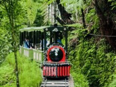 Wahana forest train yang menjadi favorit bagi pengunjung Kembang Langit Park