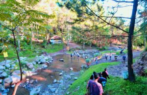 Sungai di kawasan bumi perkemahan bedengan