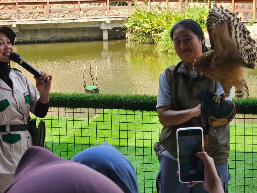Atraksi burung elang di Jakarta Bird Land