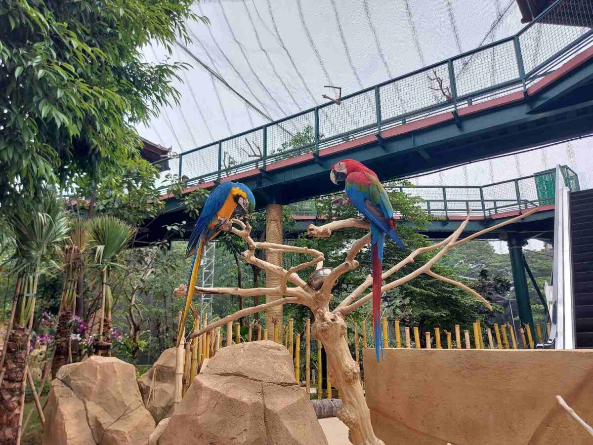 Jakarta Bird Land memiliki banyak koleksi burung