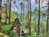 Kabin di Locca Lodge Trawas Mojokerto