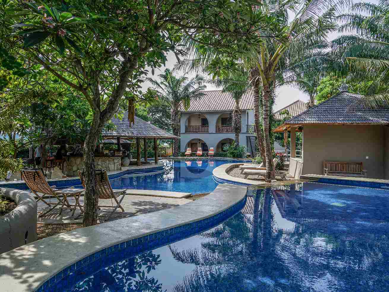 Coconut Lodge Resort memiliki kolam renang yang luas dan estetik