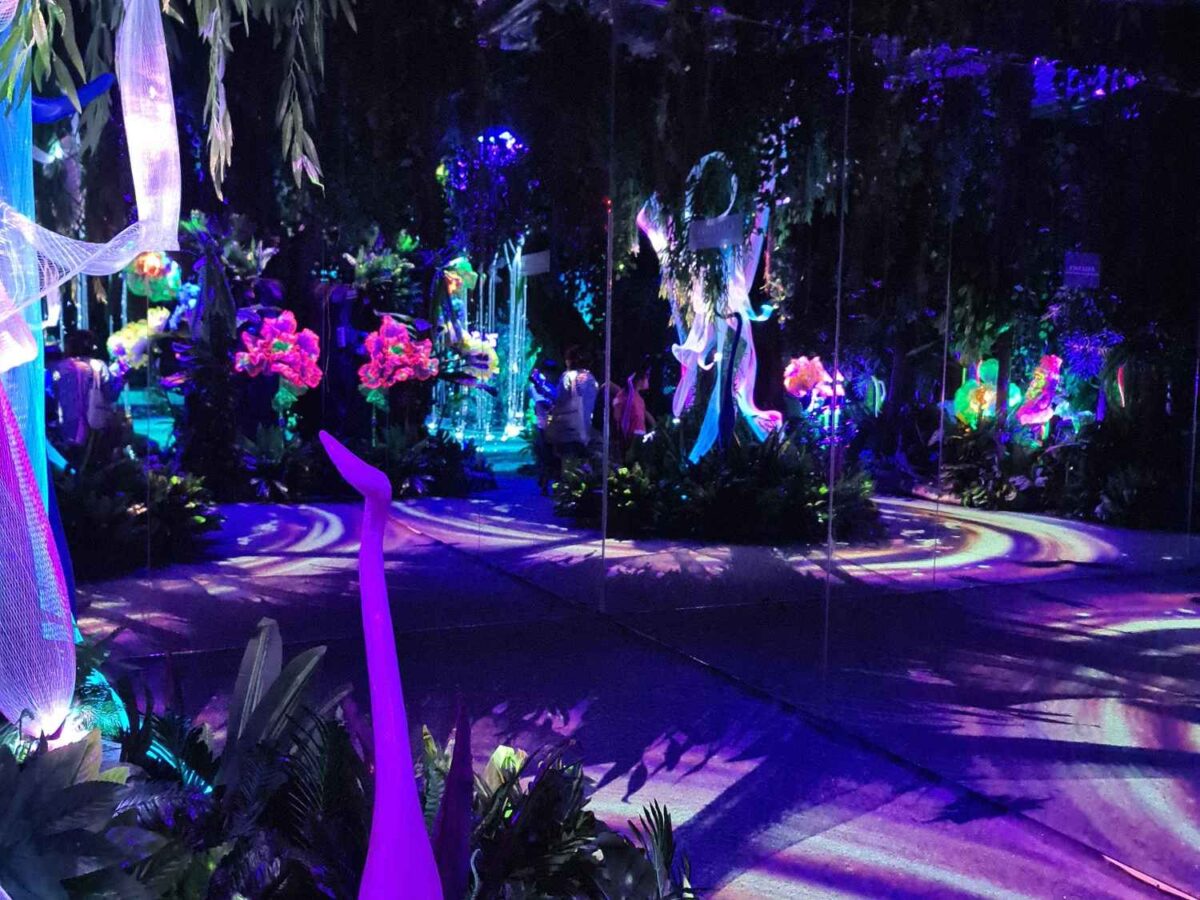 Imagispace mengusung Tema Midsummer Night Dream yang menggambarkan keindahan hutan hujan Indonesia