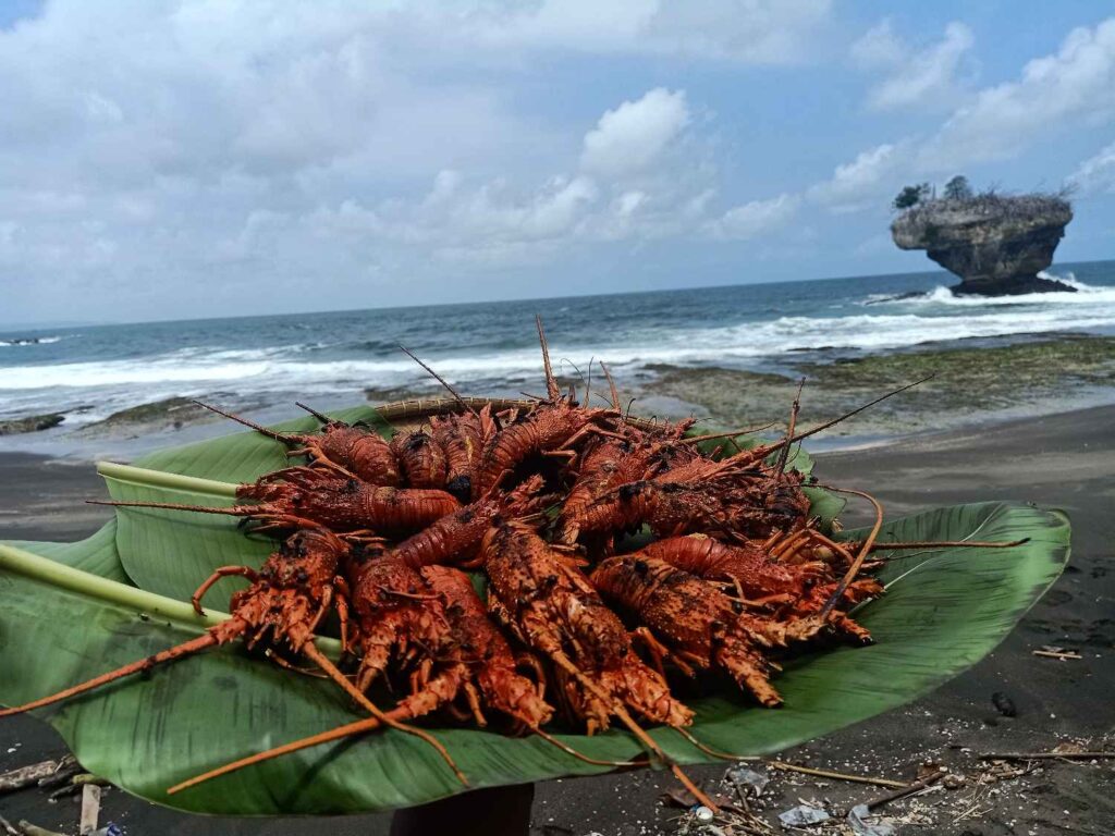 Kuliner lobster bakar di Pantai Madasari