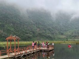 Objek wisata Telaga Mangunan yang masih asri