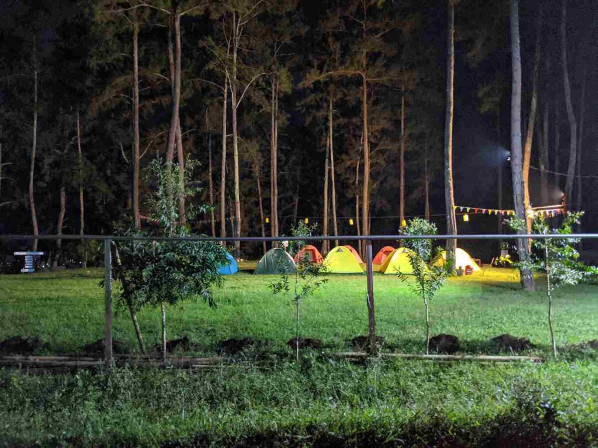 Perkemahan di hutan pinus Kemit Forest