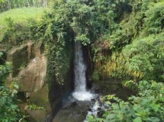 Sumampan Waterfall airnya sejuk dan menyegarkan