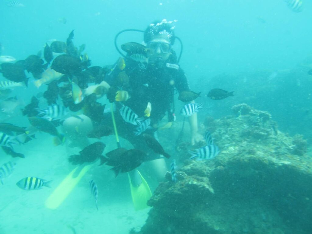 Scuba diving di Tanjung Benoa dan bertemu banyak biota laut