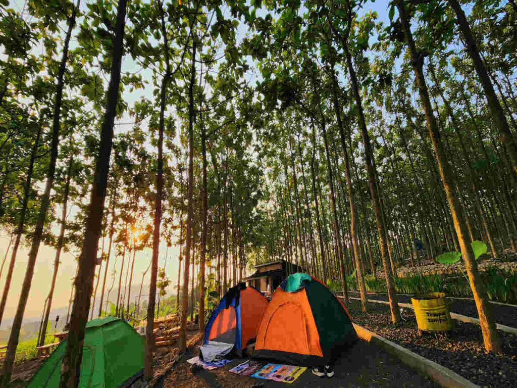 Camping di Bukit Aslan bermalam di tenda-tenda tengah pepohonan