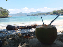 minum air kelapa di tepi Pantai Coro Tulungagung