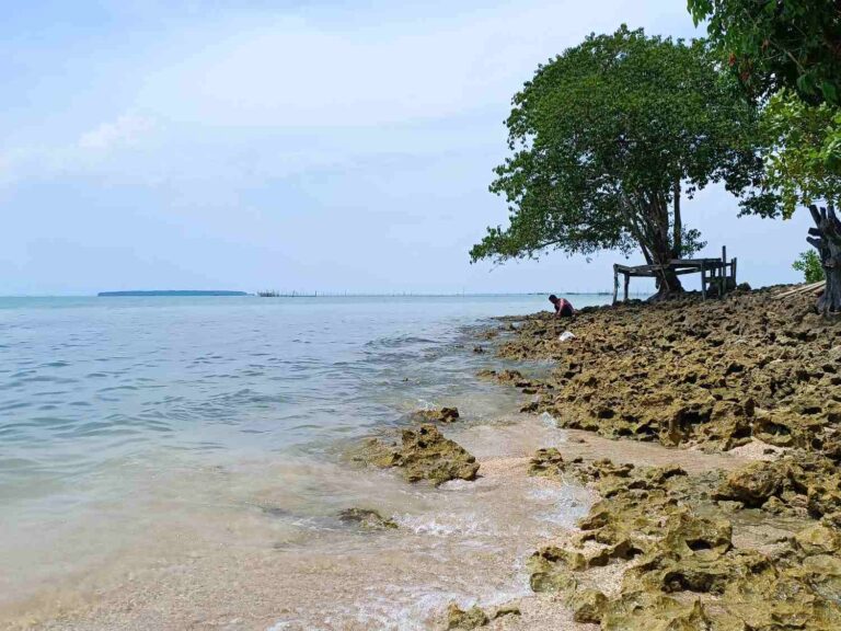 Pantai Cipanon yang indah dengan nuansa hijau pepohonan