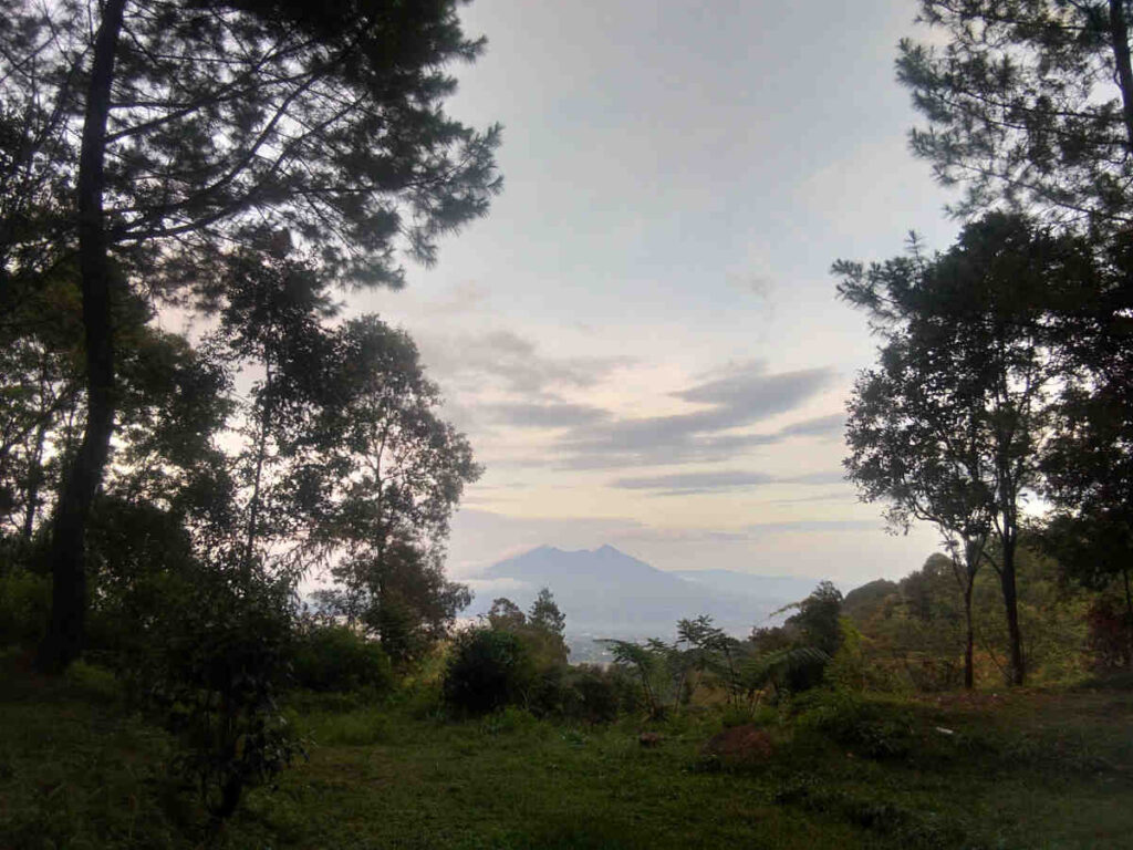 Pemandangan Gunung Pangrango terlihat dari area berkemah Bukit Pinus Paseban 
