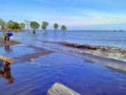 Kawasan tepi Pantai Muara Kecil Tangerang