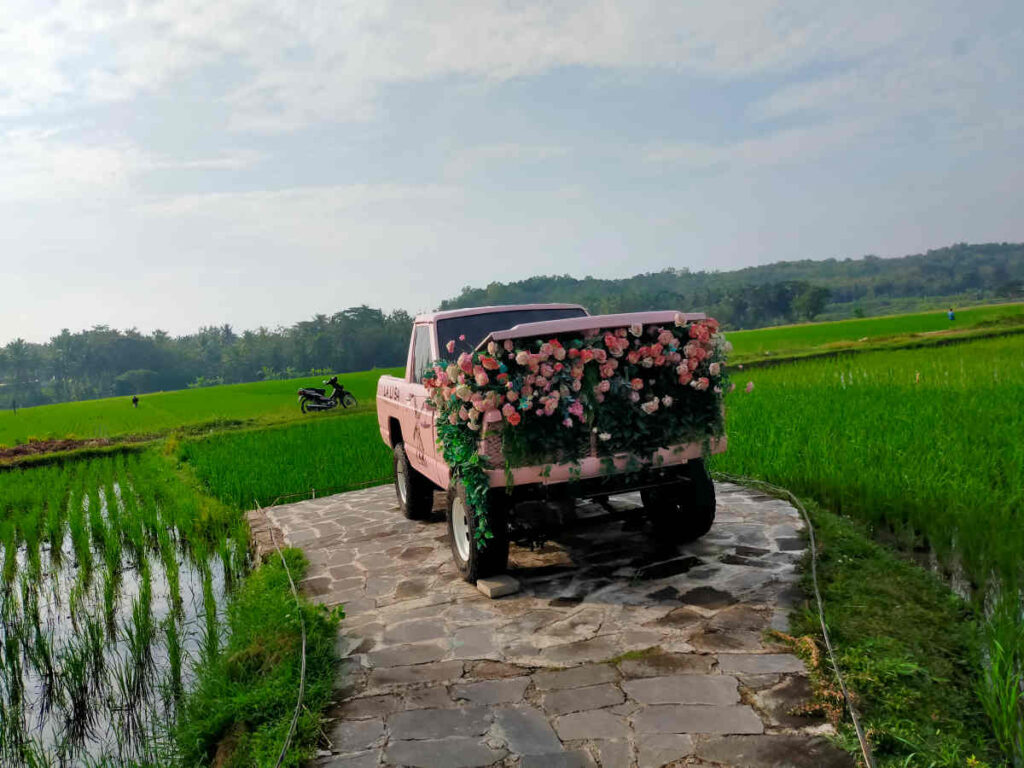 spot foto, pink truck di La Li Sa Farmer's Village