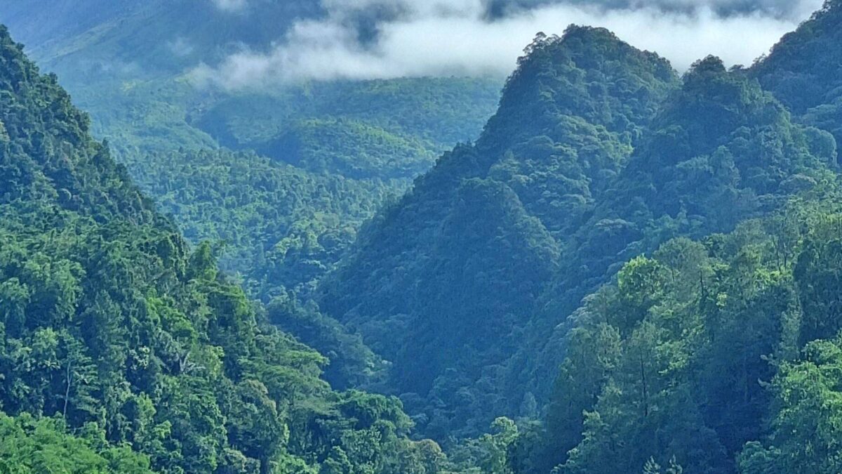 Pemandangan bukit dan jurang di Nawang Jagad